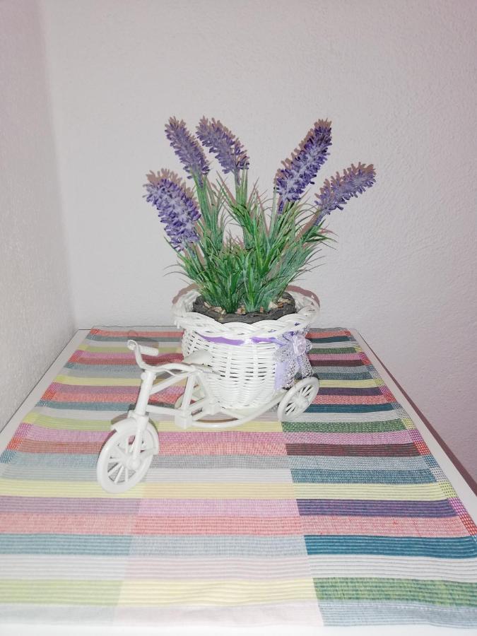 Apartment Pecarevic - A Holiday With A Stunning View Vis Exteriör bild